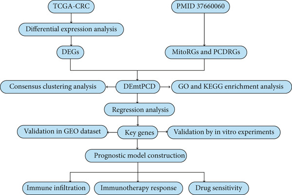 Figure 31