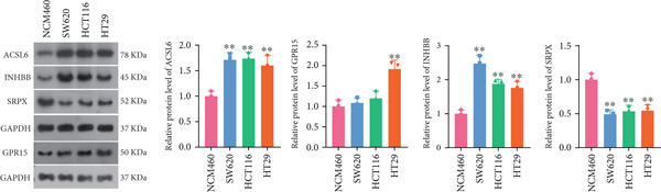 Figure 35