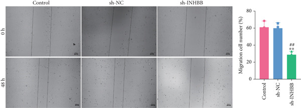 Figure 40