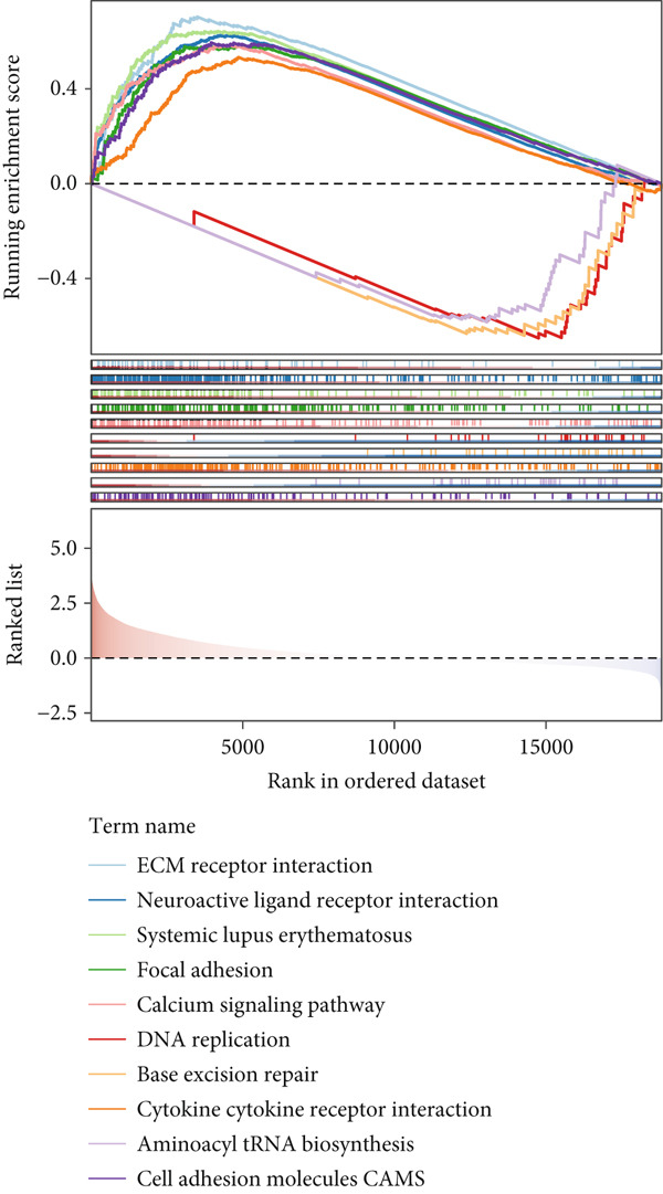 Figure 45