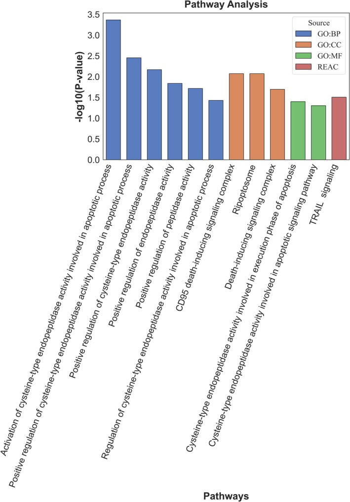 Figure 6