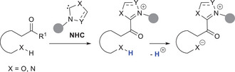 Figure 24