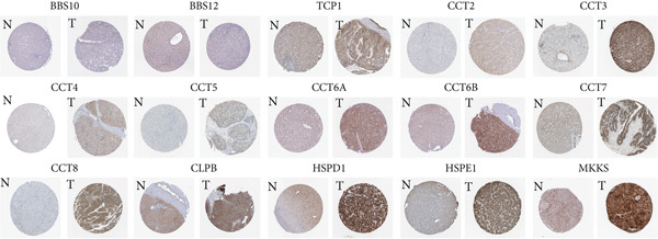 Figure 21
