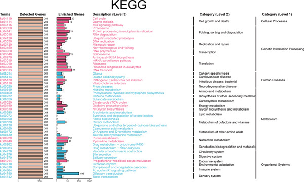 Figure 27
