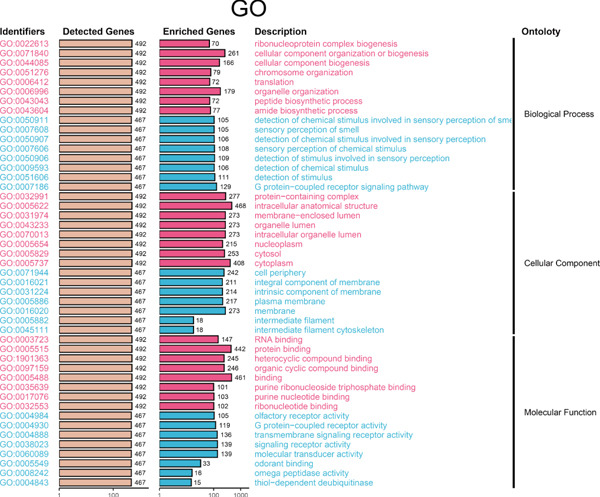 Figure 31