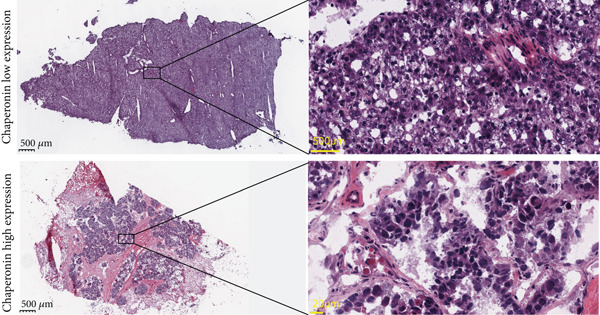 Figure 37
