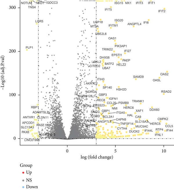 Figure 39