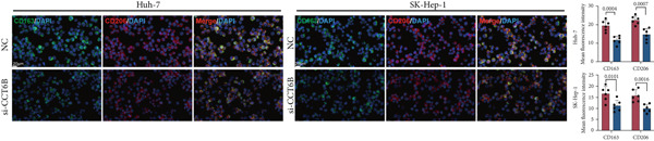 Figure 41