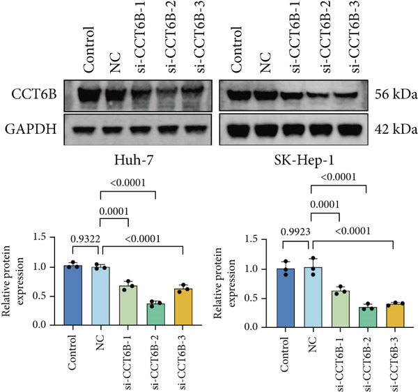 Figure 42