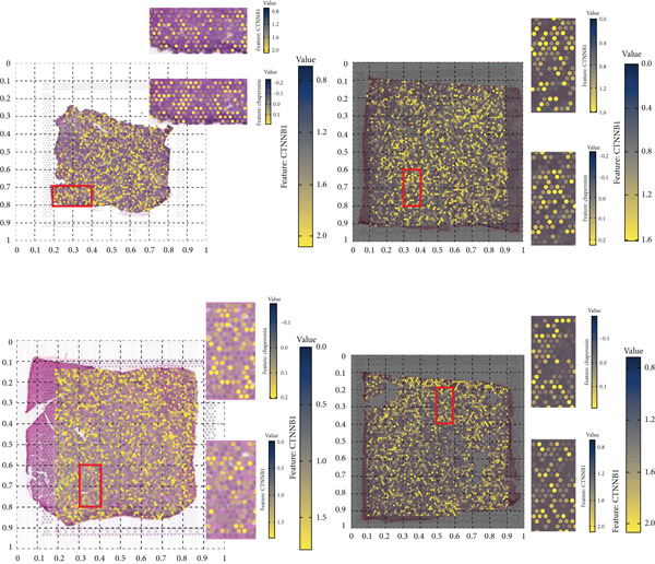 Figure 43
