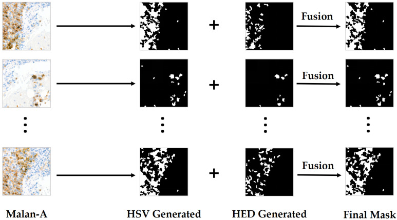 Figure 7