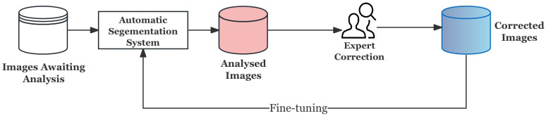 Figure 13