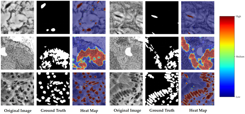 Figure 20