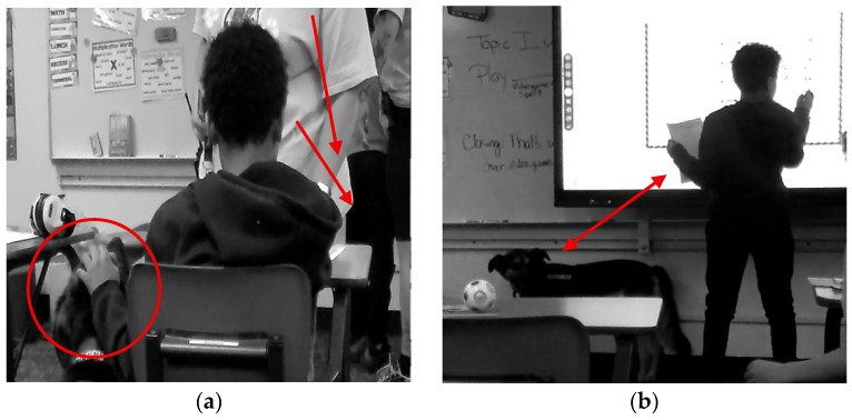 Figure 7