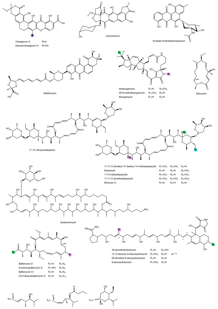 Figure 9