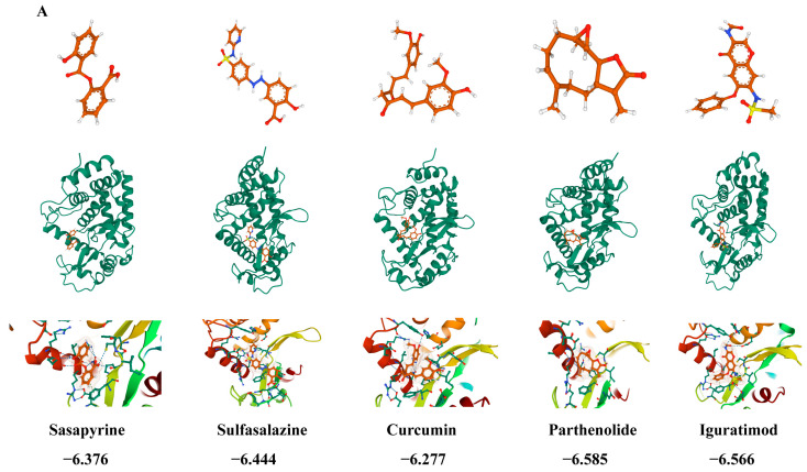 Figure 12