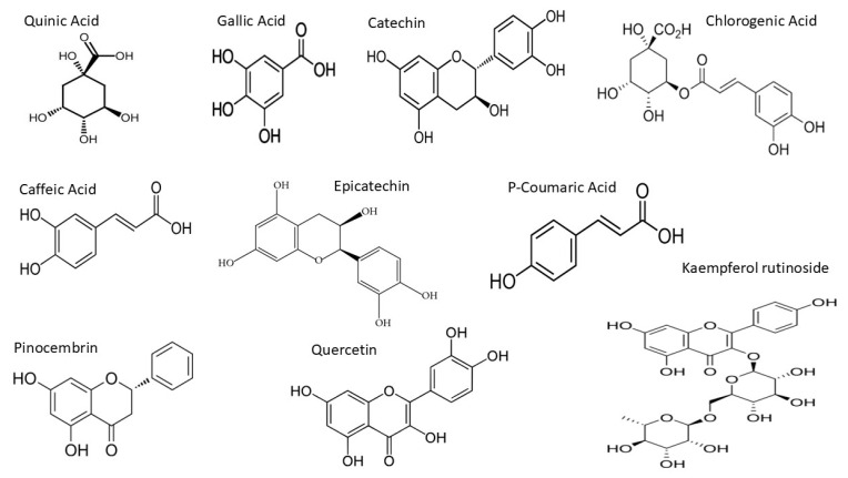 Figure 7