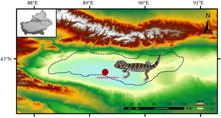 Figure 1
