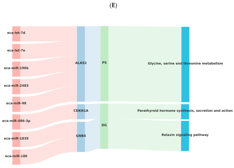 Figure 13