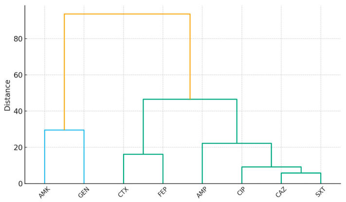Figure 5