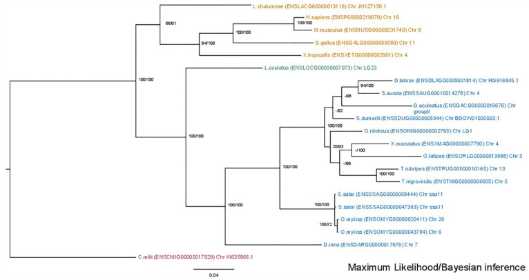 Figure 2