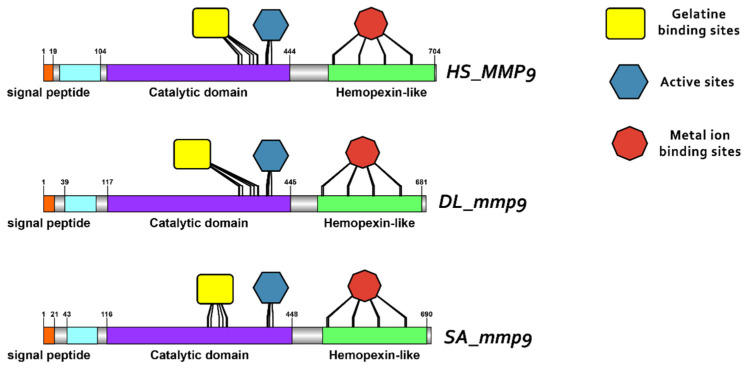 Figure 10