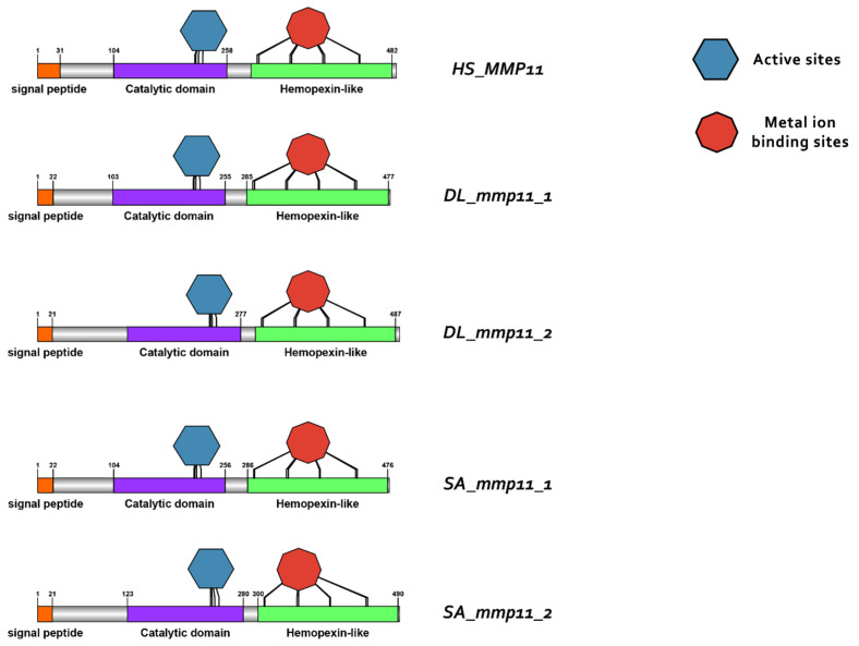 Figure 11