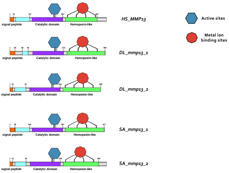 Figure 12