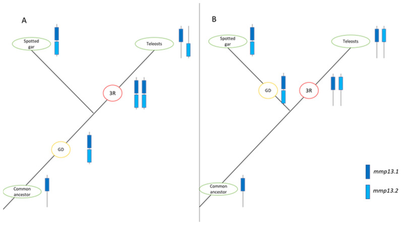 Figure 18