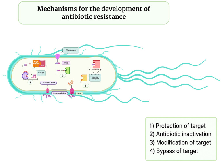 Figure 7