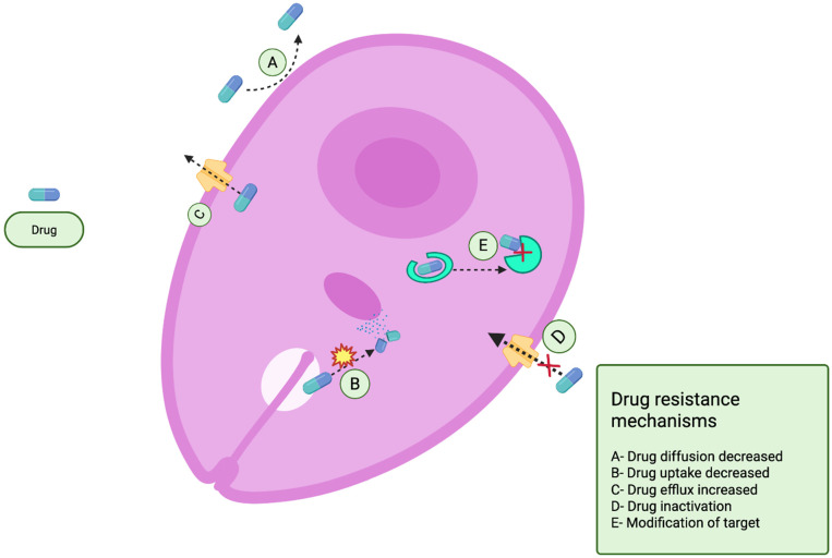 Figure 9