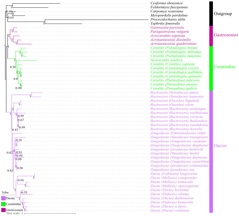 Figure 13