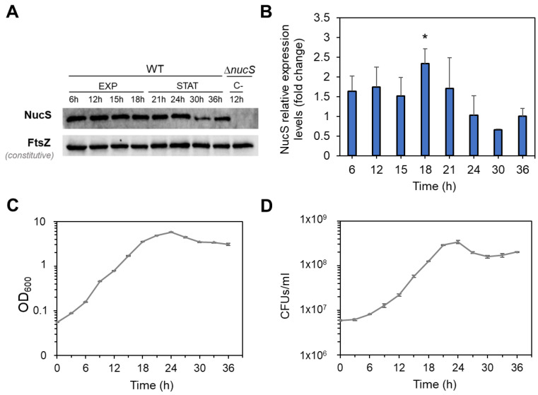 Figure 4