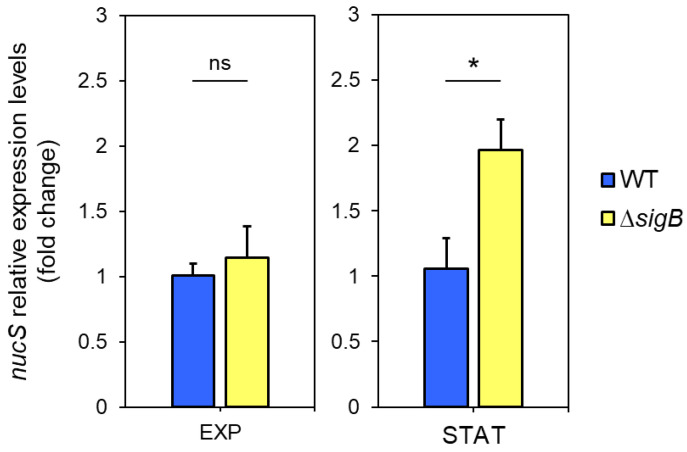 Figure 5