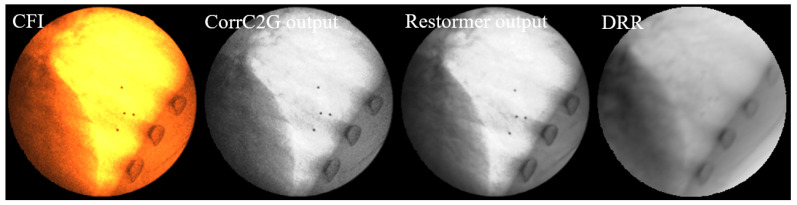 Figure 10