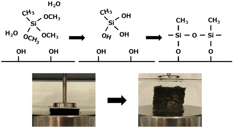 Figure 11