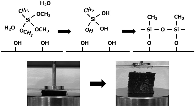 Figure 12