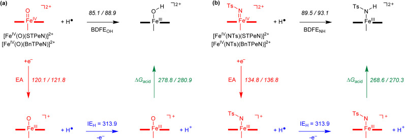 Figure 8