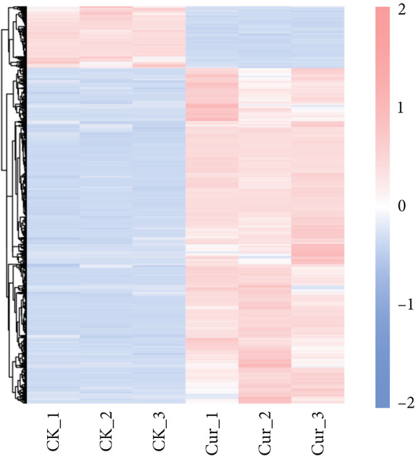 Figure 17