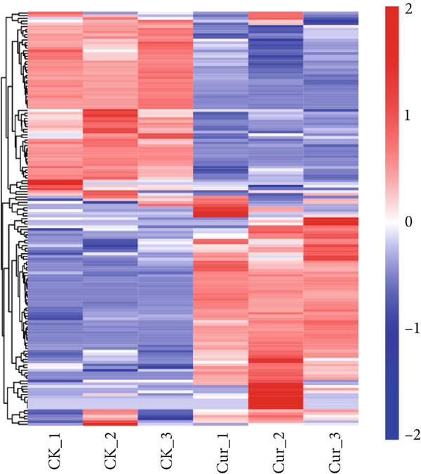 Figure 21