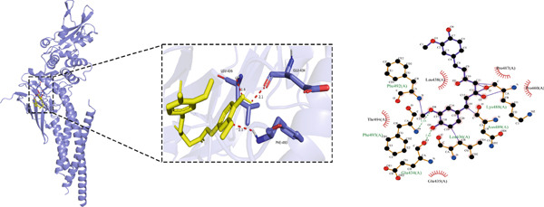Figure 30