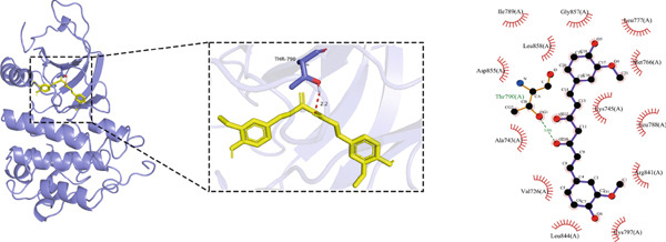 Figure 31