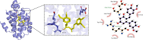 Figure 32