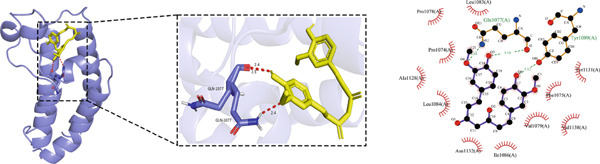 Figure 33