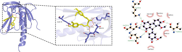 Figure 34