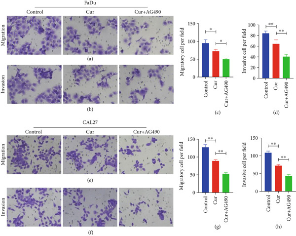Figure 36