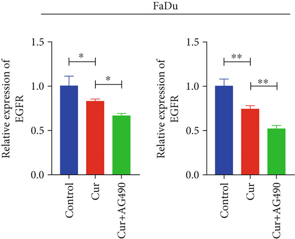Figure 41