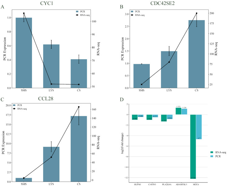 Figure 6