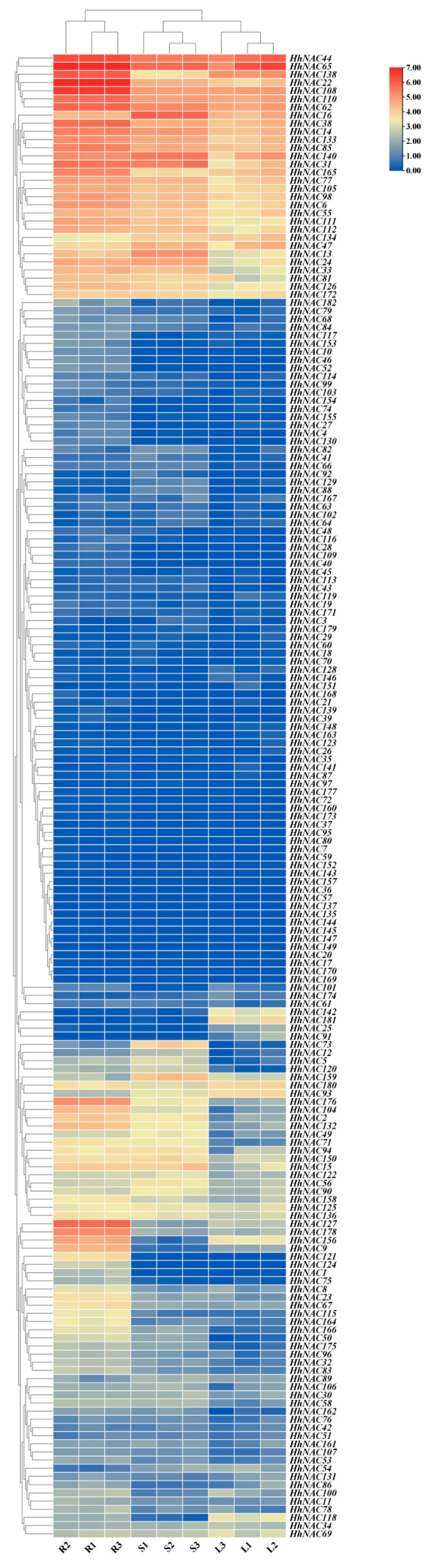 Figure 10