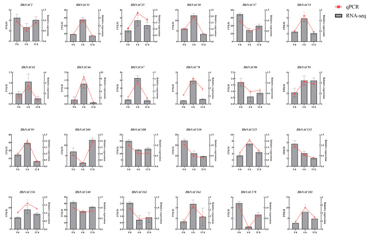 Figure 11